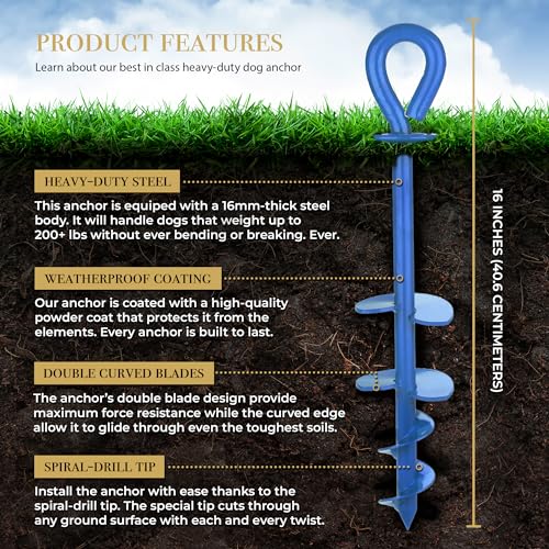 Dog Tie Out Stake - Blue