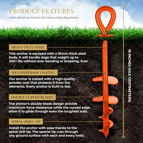 Dog Tie Out Stake - Orange