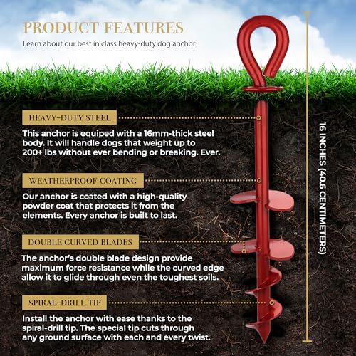 Dog Tie Out Stake - Red