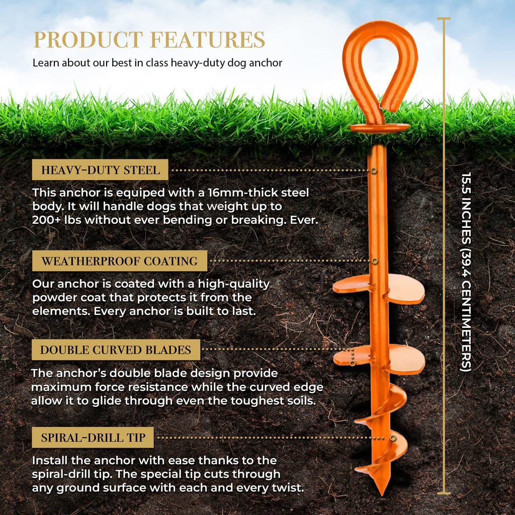 Dog Tie Out Stake With Accessories- Orange