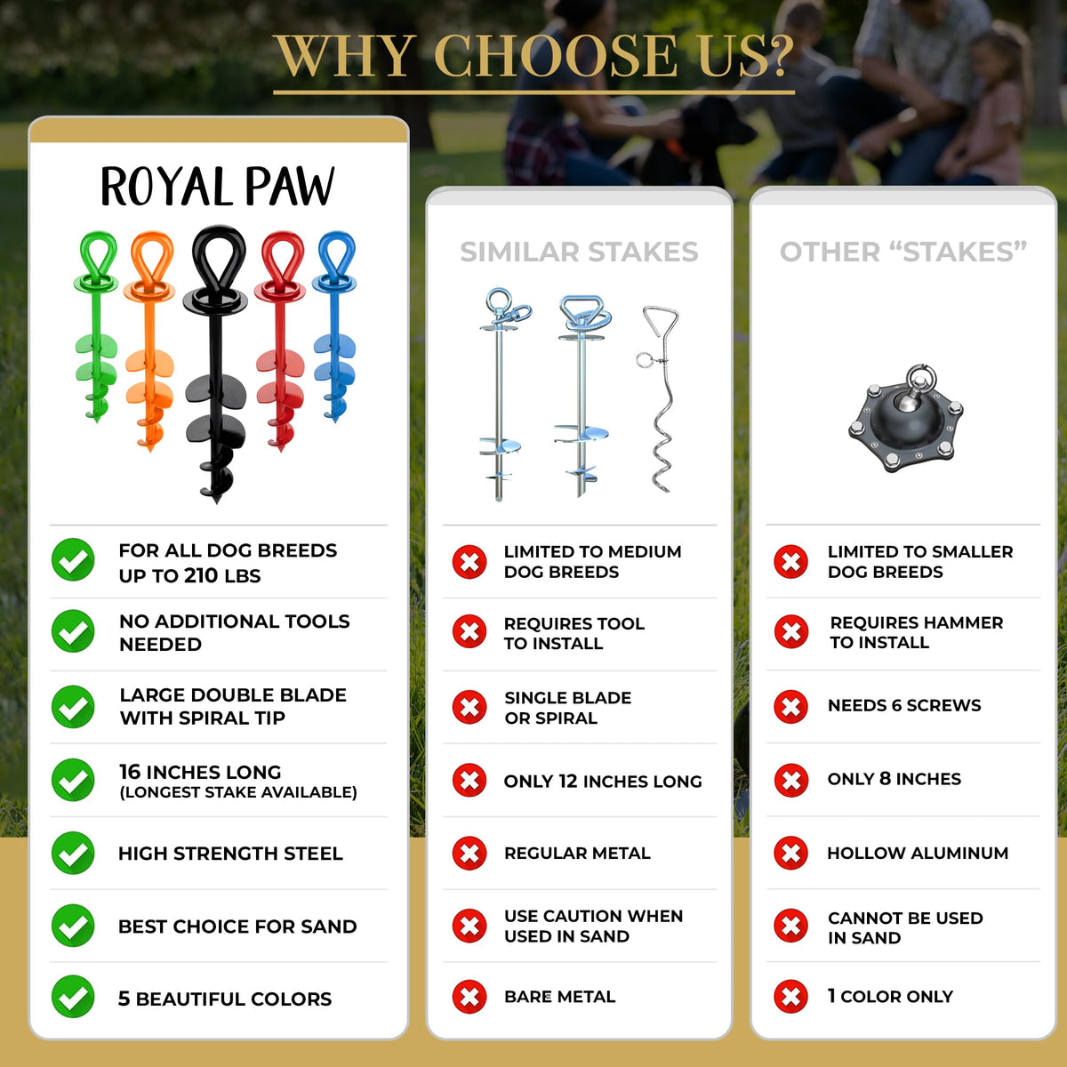 Dog Tie Out Stake With Accessories - Midnight