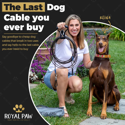 Dog Tie Out Cable - Black Onyx