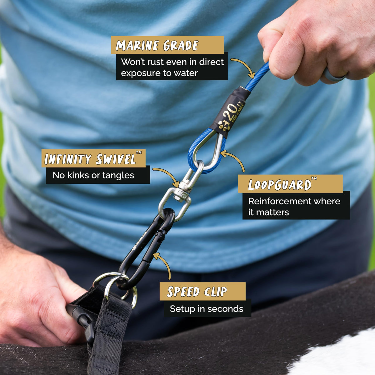 Dog Tie Out Cable - Blue Cobalt