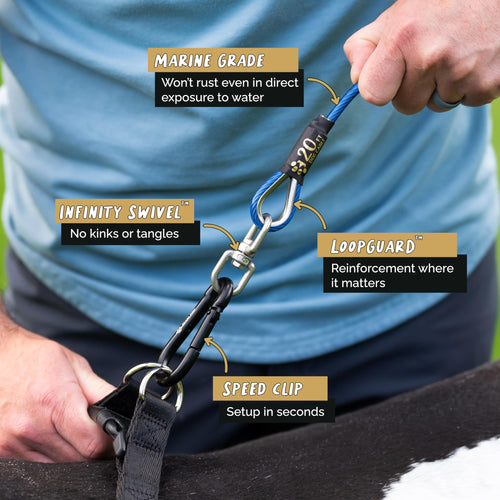 Dog Tie Out Cable - Blue Cobalt