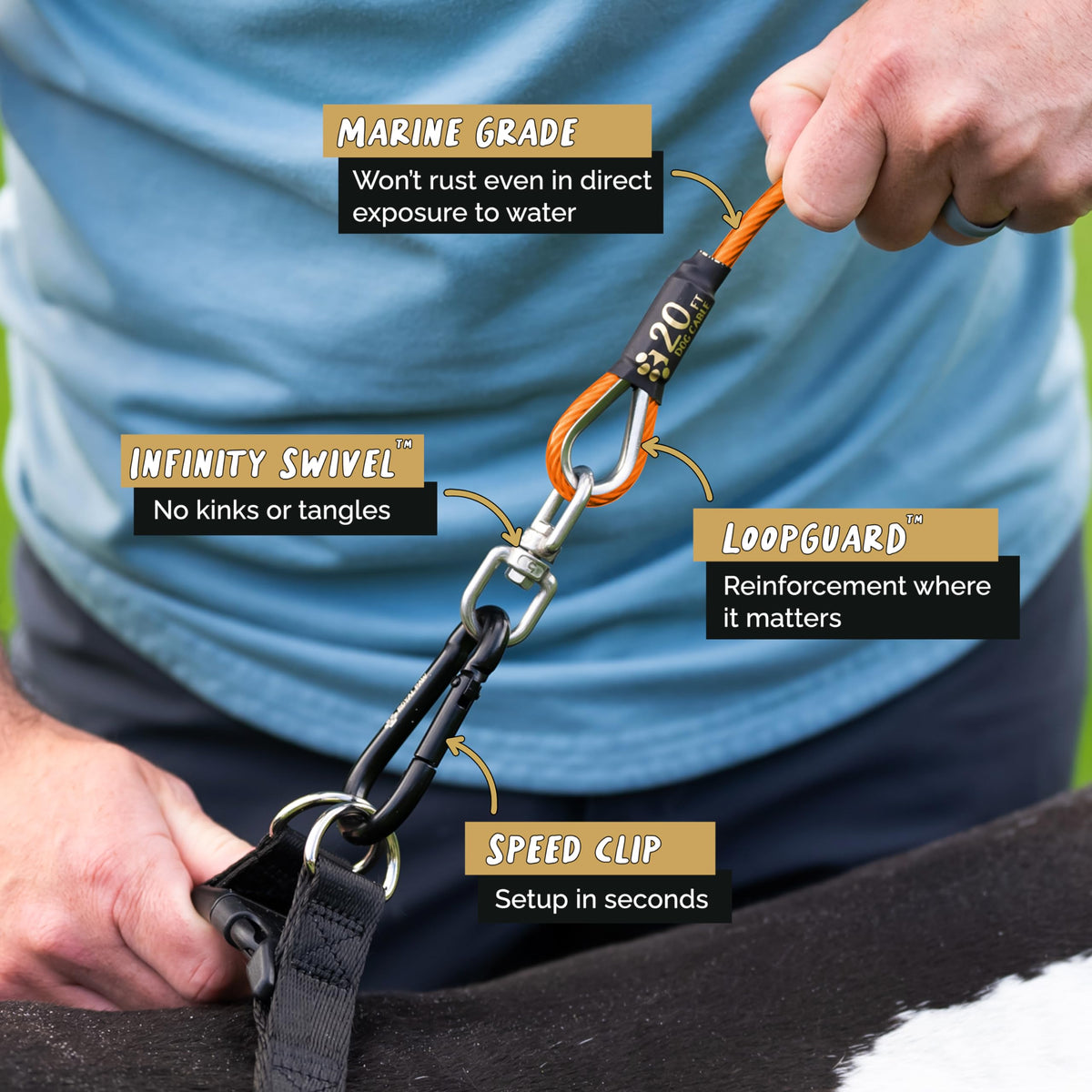 Dog Tie Out Cable - Royal Orange