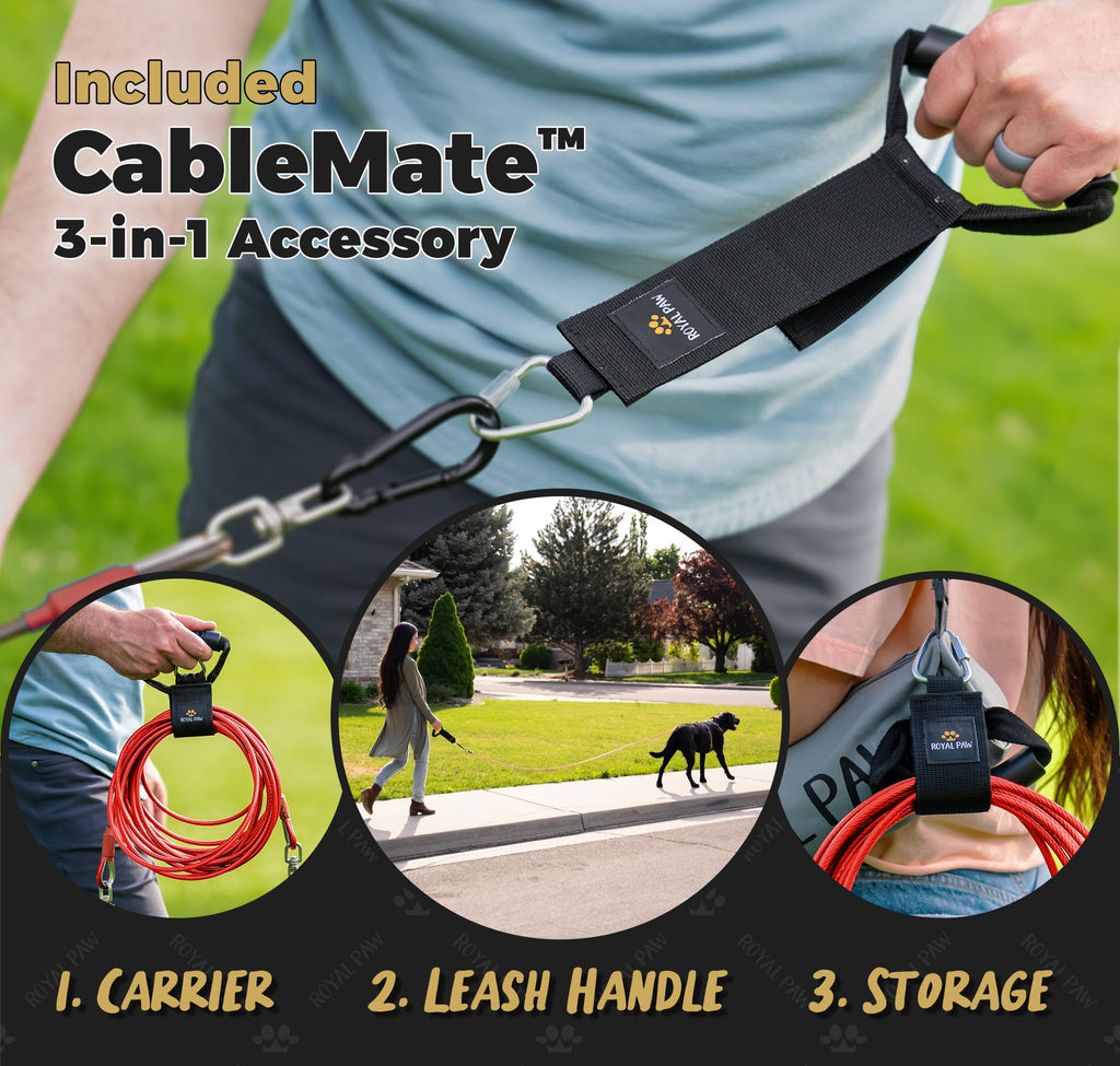 Dog Tie Out Cable - Red Ruby